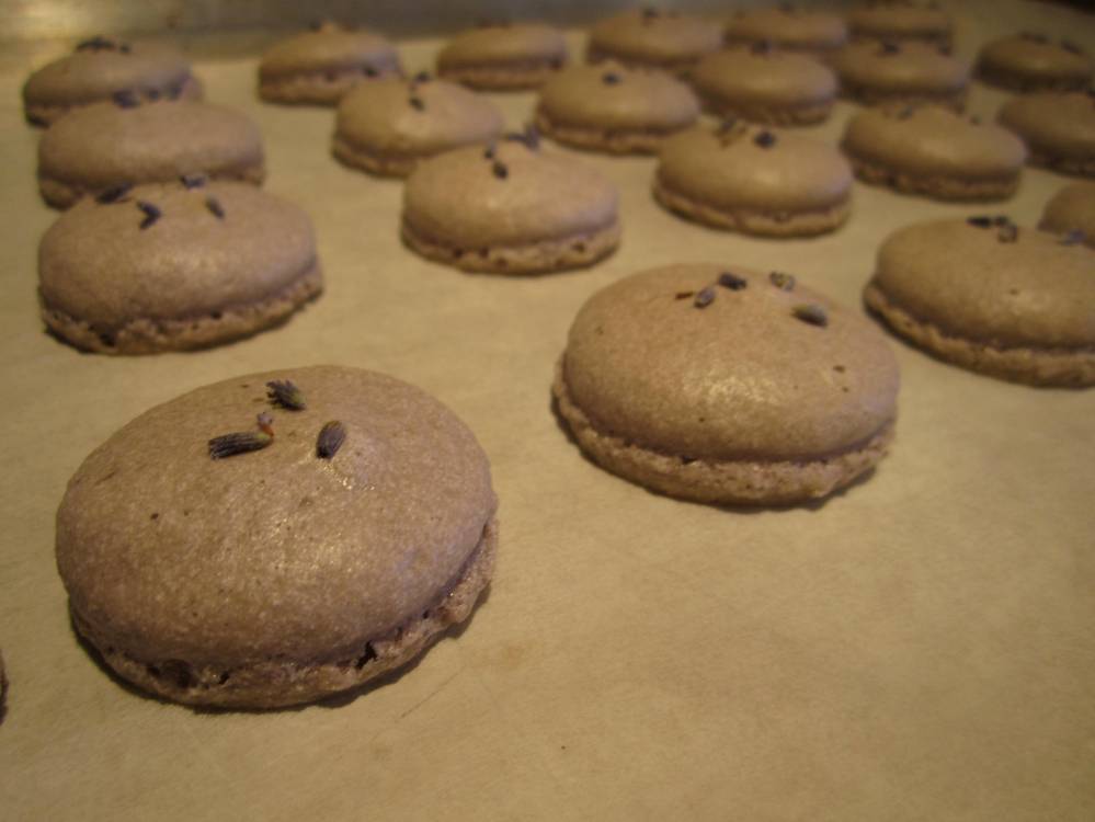 Lavender macarons 18