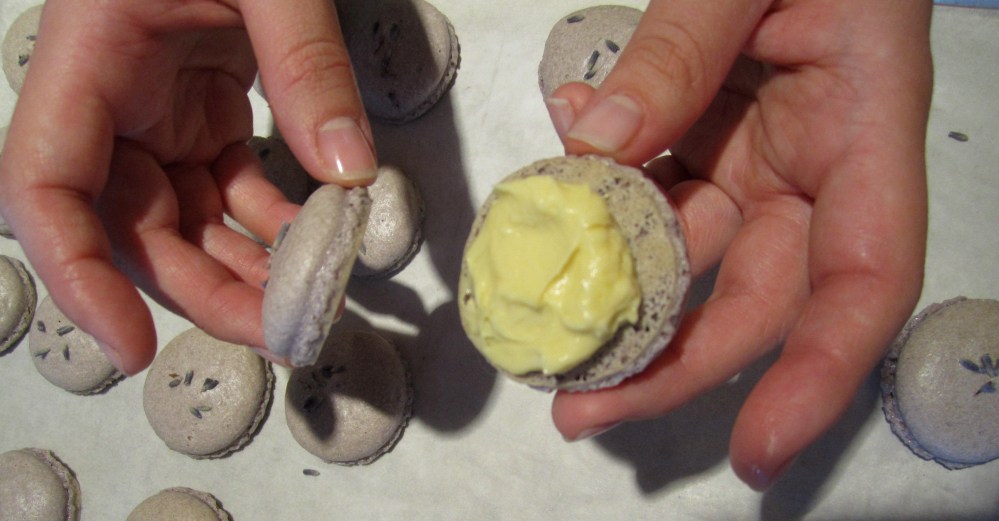 Lavender macarons 35 c