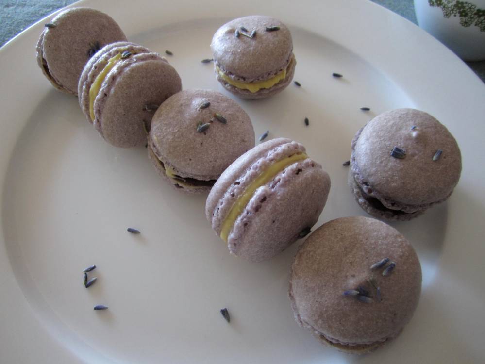 Lavender macarons 44