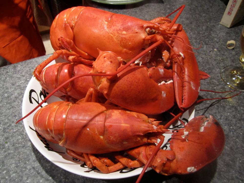 Lobster 3