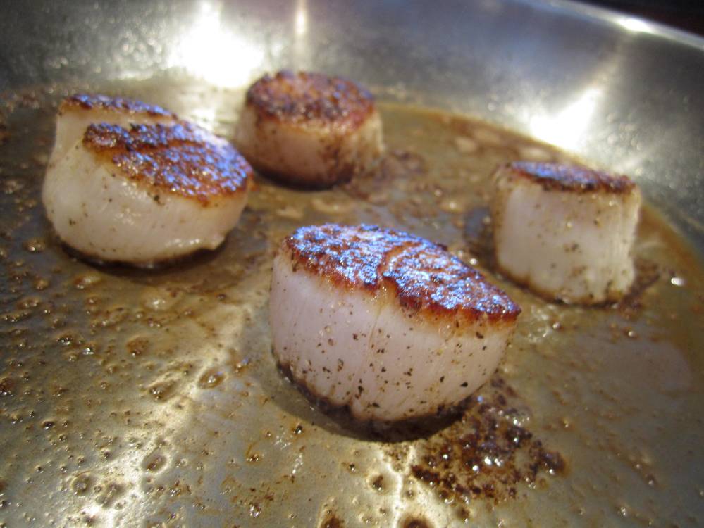 Scallops&beanpure 6